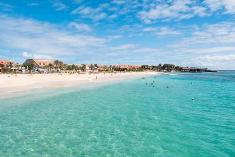 wysopy z p sal (Kopiowanie)